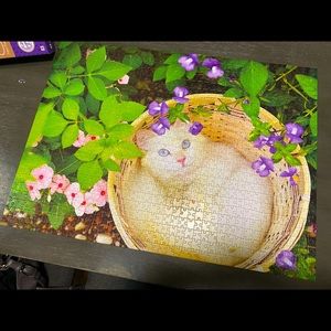 kitty 1000 piece puzzle